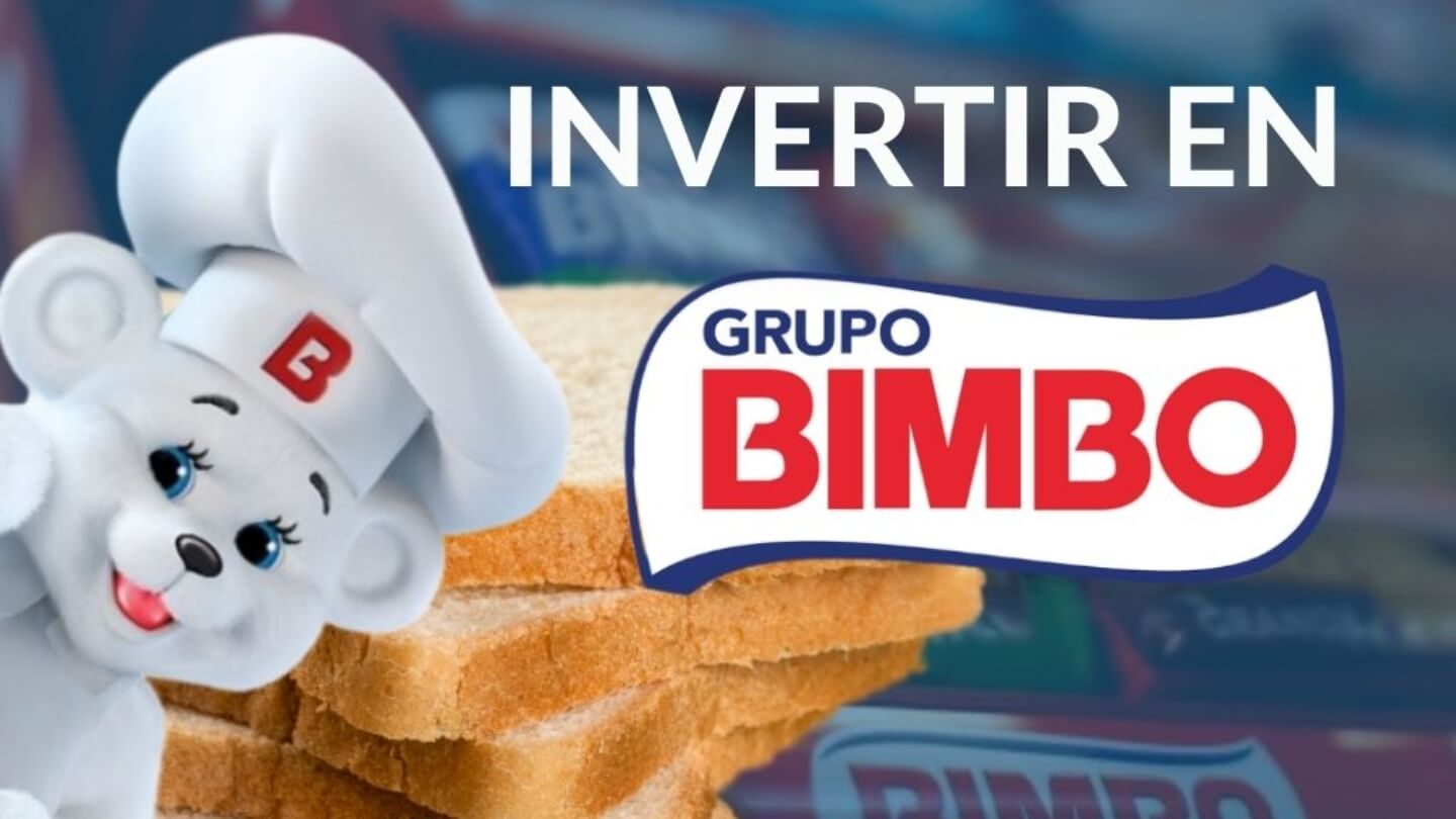 Bimbo osito 